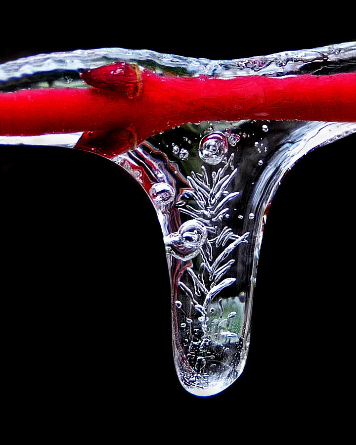 Frozen crystal Photograph by Carolyn Derstine