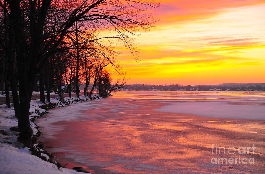 Frozen Dawn   Photograph by Terri Gostola