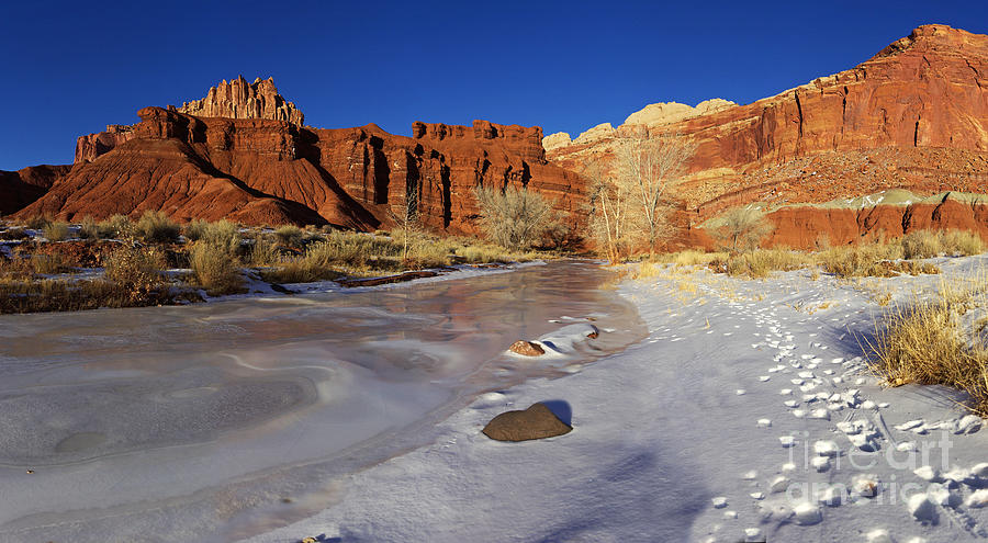 Frozen Desert Photograph by Brian Hendricks