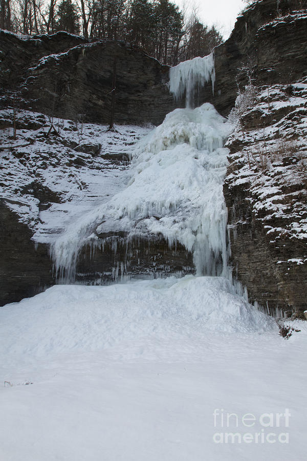 Frozen Falls Photograph by William Norton