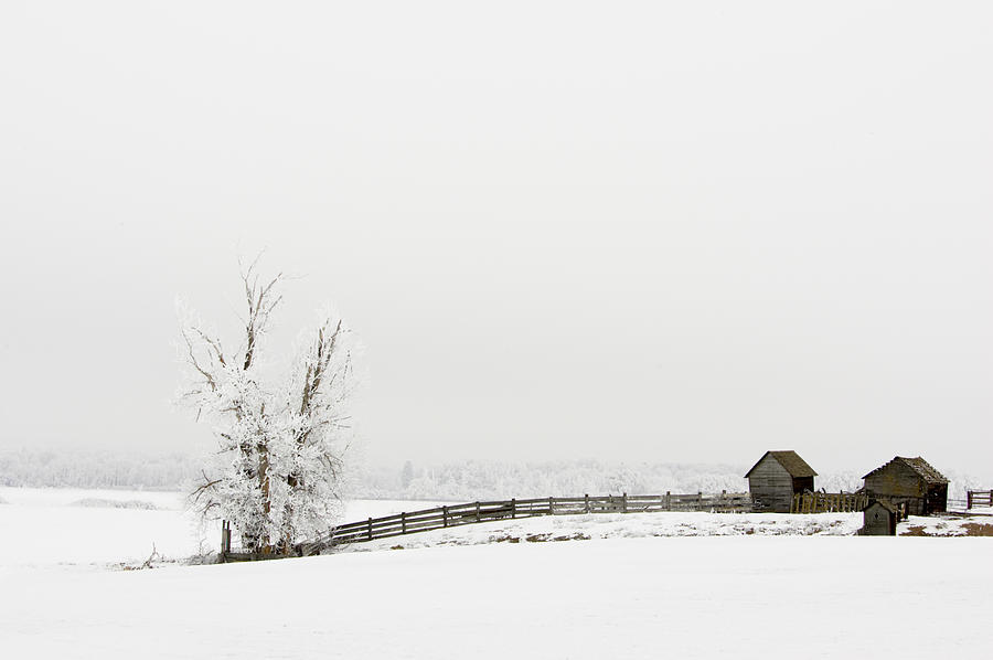 Frozen Farm Photograph