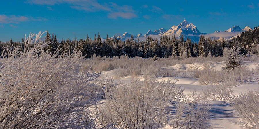Frozen February In Grand Teton National Park Photograph by Yeates Photography