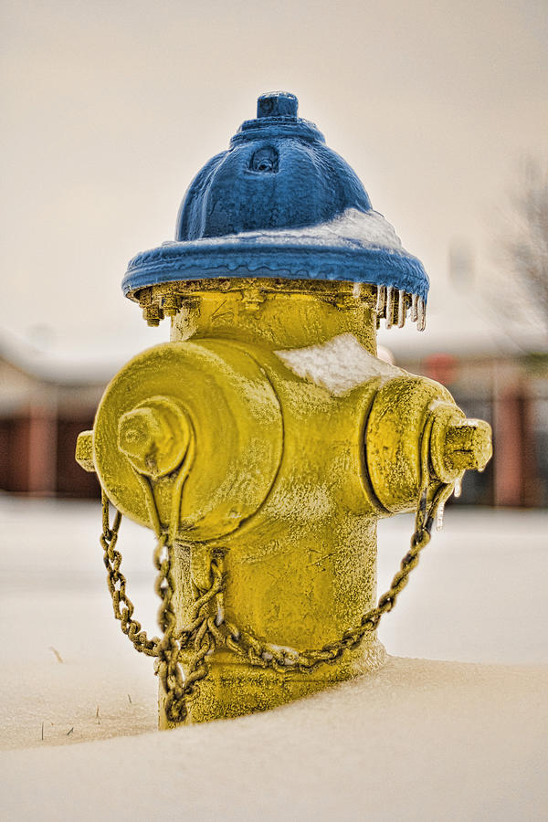 Frozen Fire Hydrant Photograph by Brett Engle