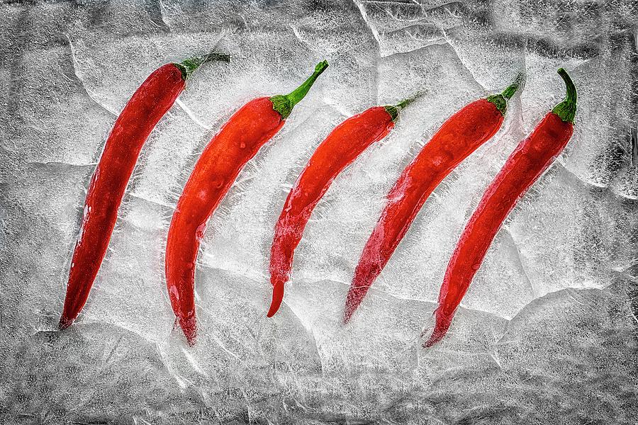 Vegetable Photograph - Frozen Fire by Secundino Losada