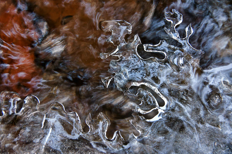 Frozen Fluidity Photograph by Leda Robertson