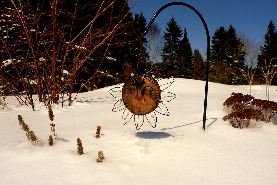 Spring Photograph - Frozen Garden by Danielle  Broussard