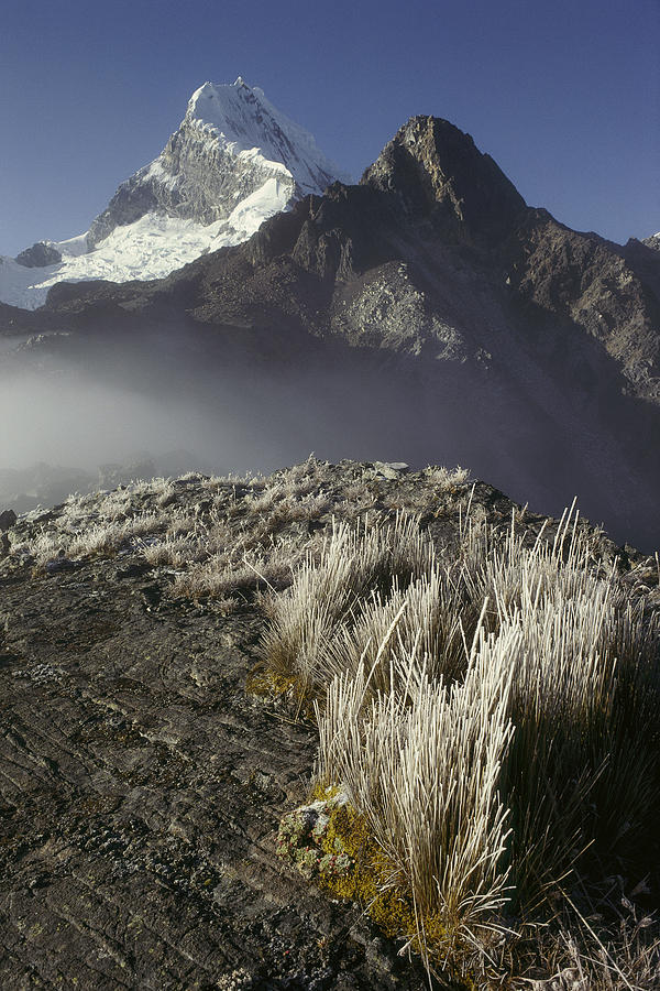 Frozen Grasses And Nevado Chopicalqui Photograph by Grant  Dixon