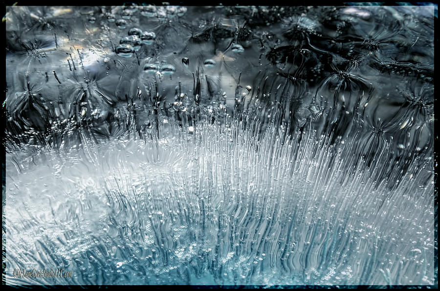 Nature Photograph - Frozen in Ice by LeeAnn McLaneGoetz McLaneGoetzStudioLLCcom