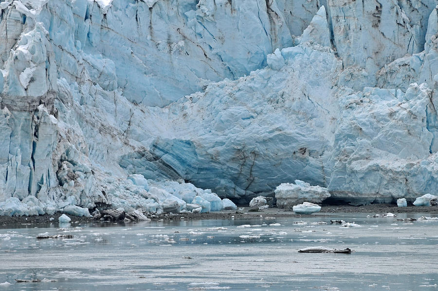 Frozen In Time Photograph by Judith Russell-Tooth - Fine Art America