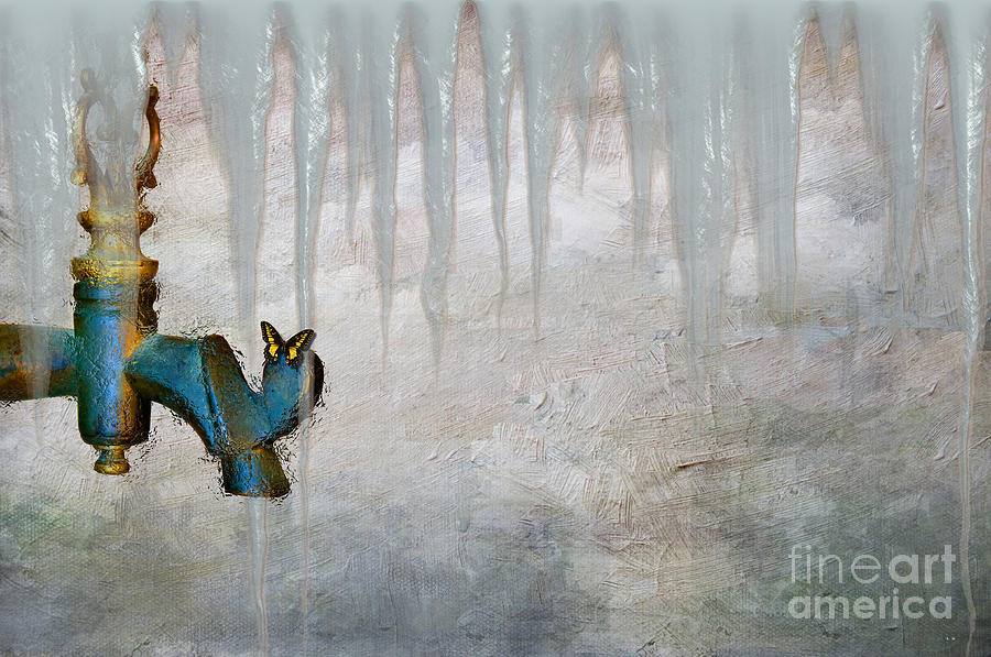 Frozen In Time Photograph by Liane Wright - Fine Art America
