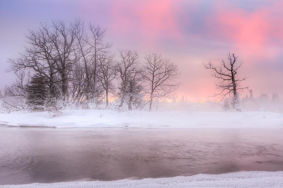 Frozen Island Photograph by Jakub Sisak