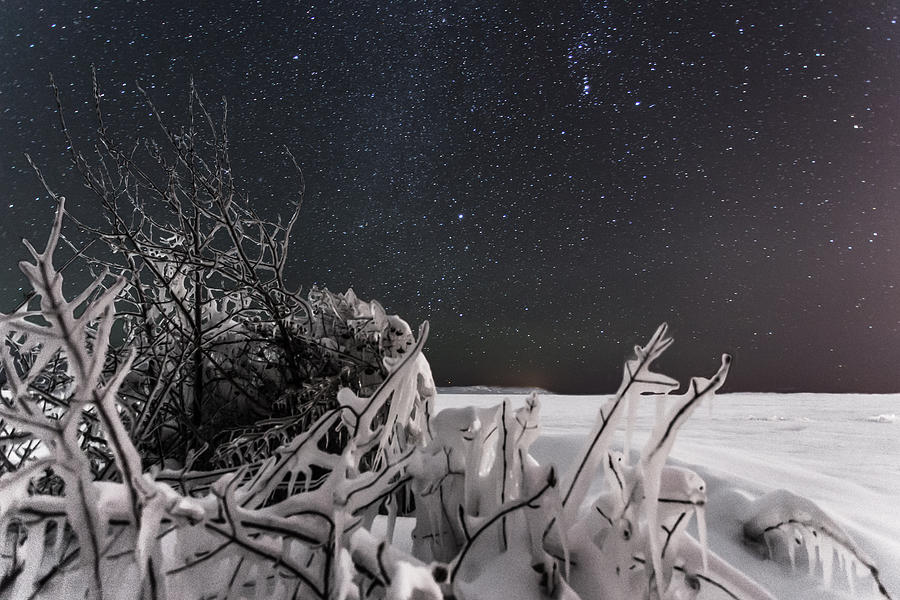 Frozen Photograph by Jakub Sisak