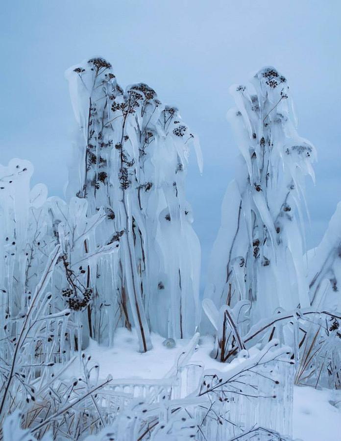 Frozen Photograph by Jill Laudenslager