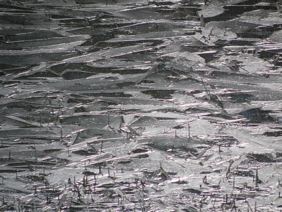 Frozen Lake Art Photograph by Marv Russell