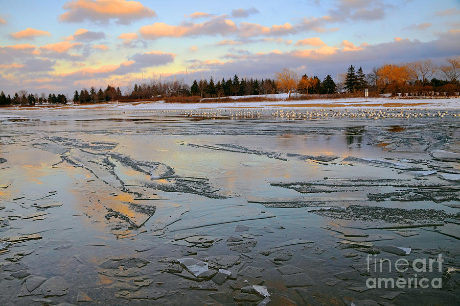 Winter Photograph - Frozen Lake at Dusk by Charline Xia