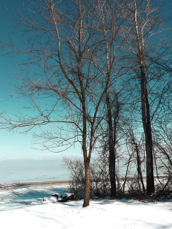 Frozen Lake Erie at Old Woman Creek Photograph by Shawna Rowe