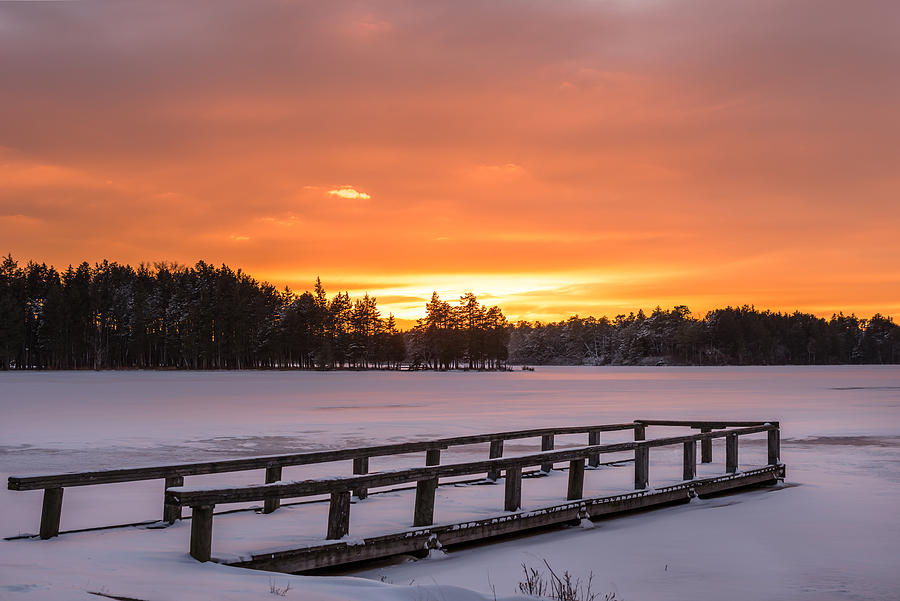 Frozen Lake Lakehurst New Jersey Photograph by Terry DeLuco