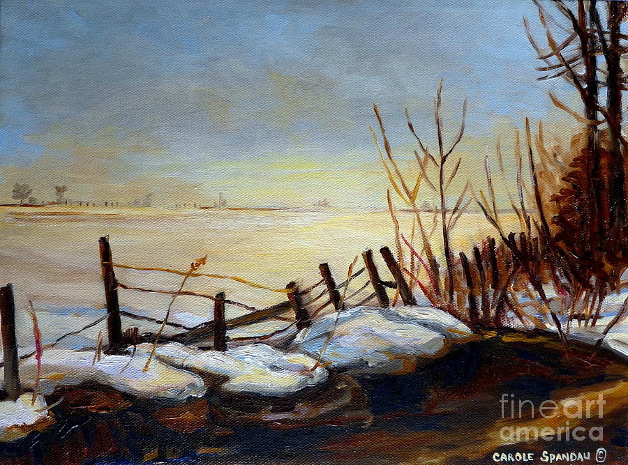 Frozen Lake Near Ste. Adele Painting by Carole Spandau