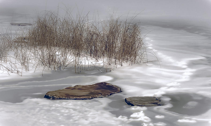 Winter Photograph - Frozen Landscape by Julie Palencia