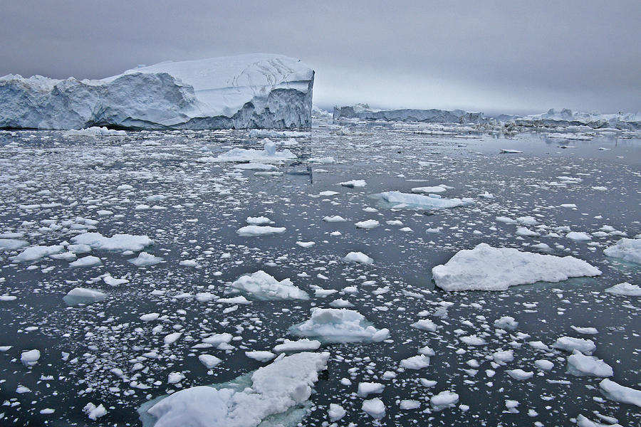 Frozen Landscape Photograph by Michele Burgess