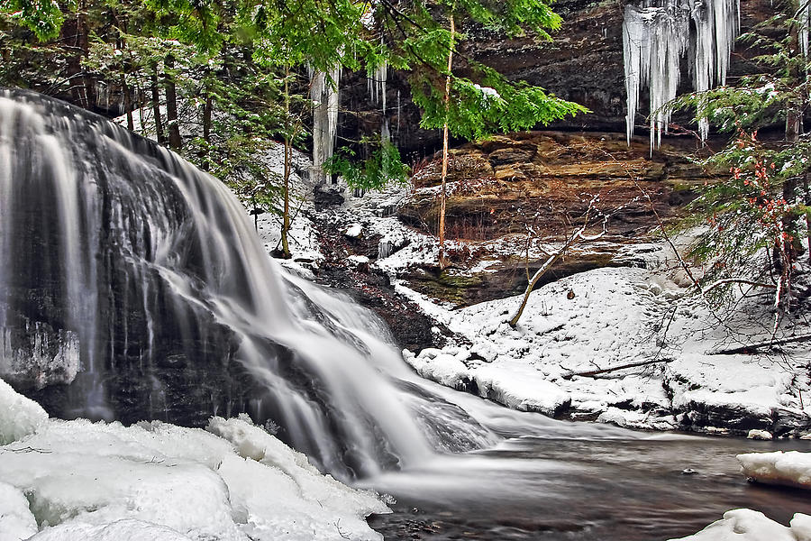 Frozen Photograph by Marcia Colelli - Fine Art America