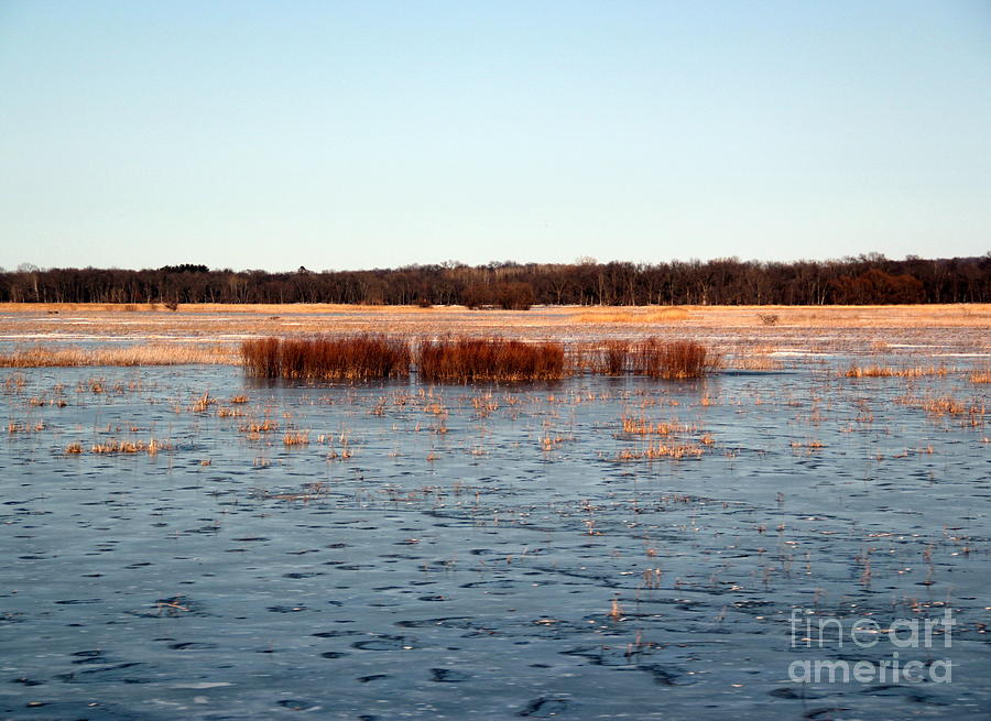 Frozen Marsh Photograph by A K Dayton