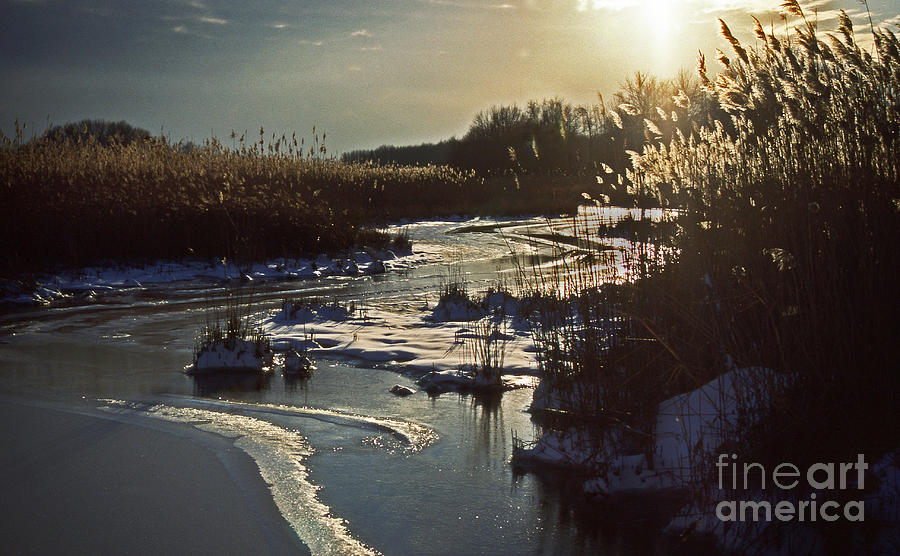 Winter Photograph - Frozen Marsh by Skip Willits