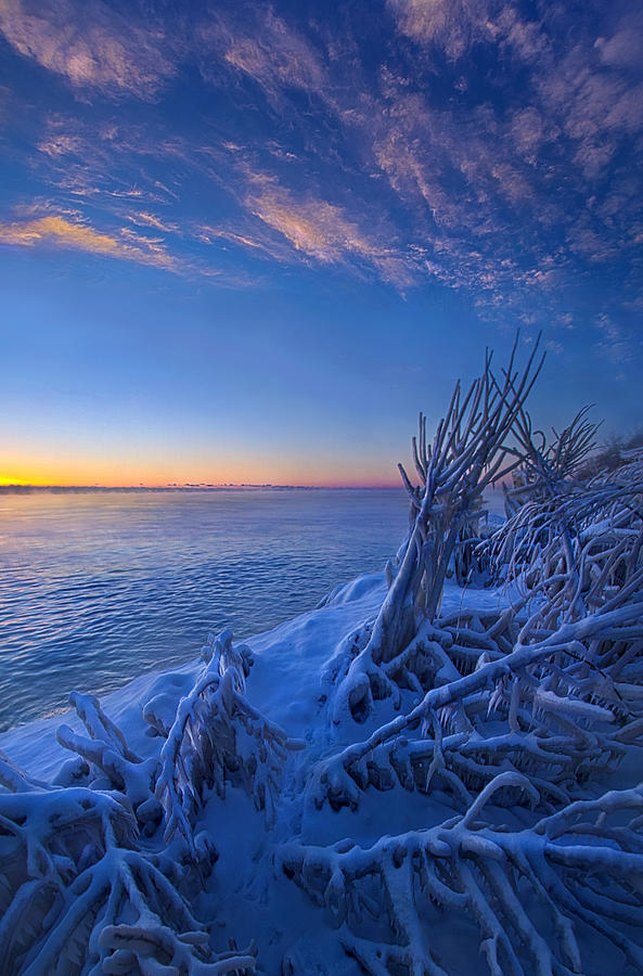 Winter Photograph - Frozen Moments in Time by Phil Koch