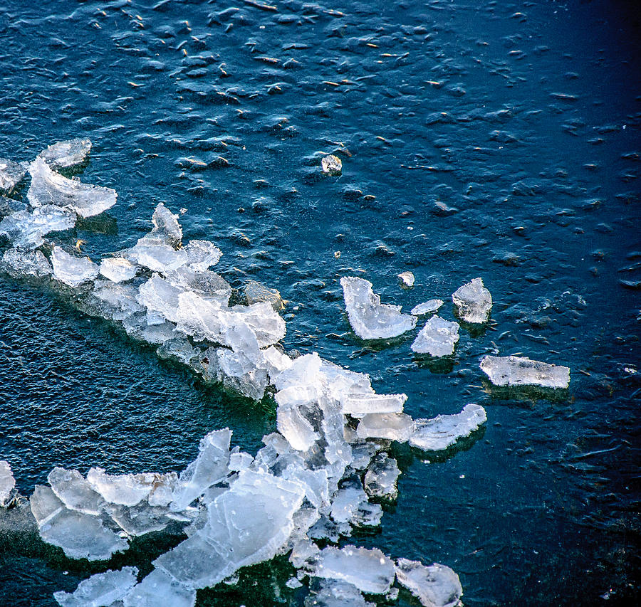 Ice Chips Frozen Ocean  Photograph by Roxy Hurtubise