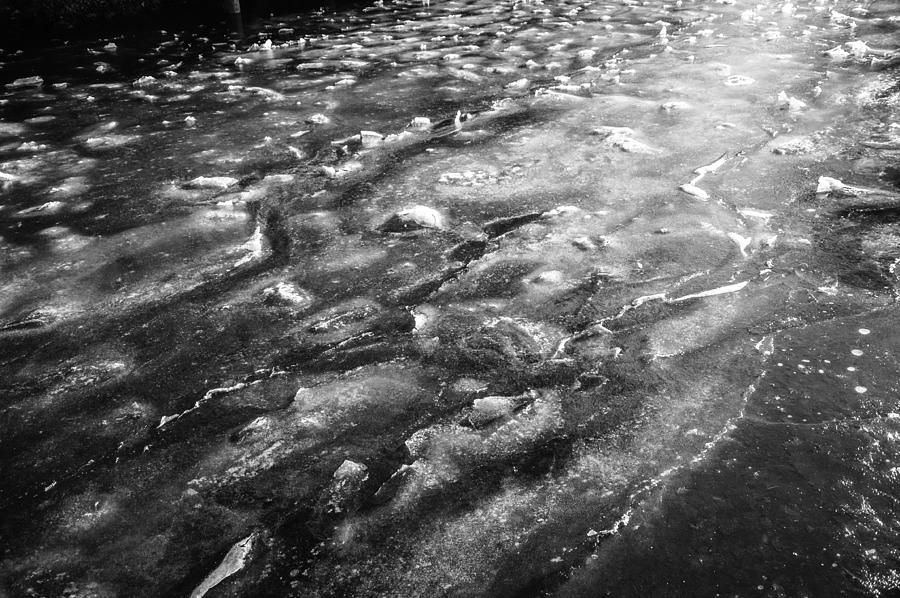 Ice Flows Frozen Ocean  Photograph by Roxy Hurtubise
