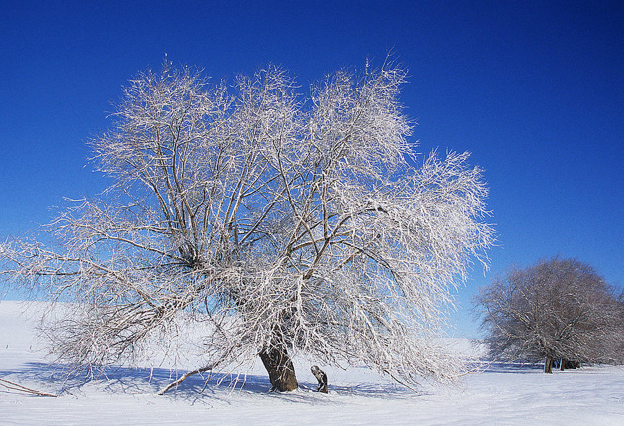 Frozen Palouse Photograph by Doug Davidson