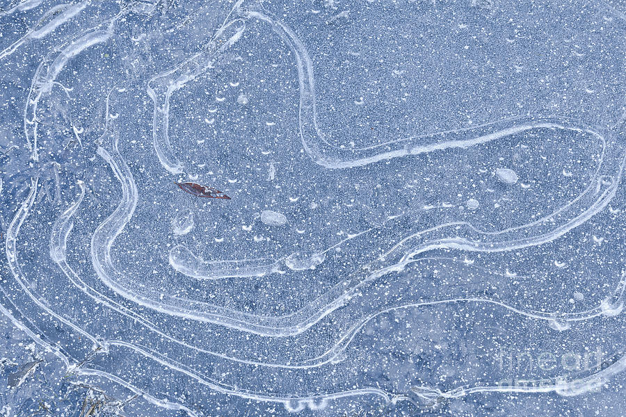 Frozen Pond Design Photograph by Alan L Graham