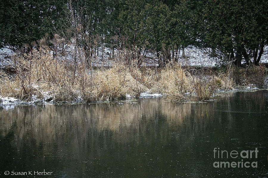 Frozen Pond Photograph by Susan Herber