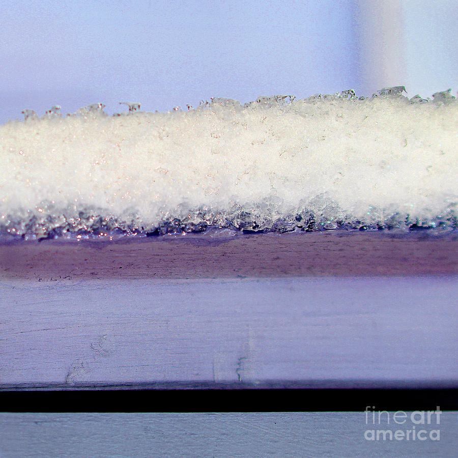 Frozen Purple Abstract Photograph by Karen Adams