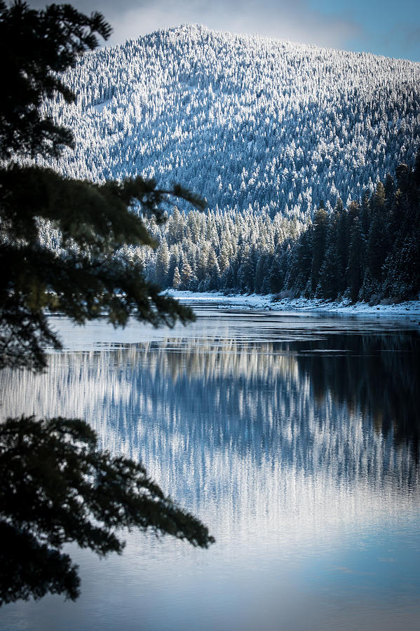 Frozen Reflection Photograph by Jan Davies