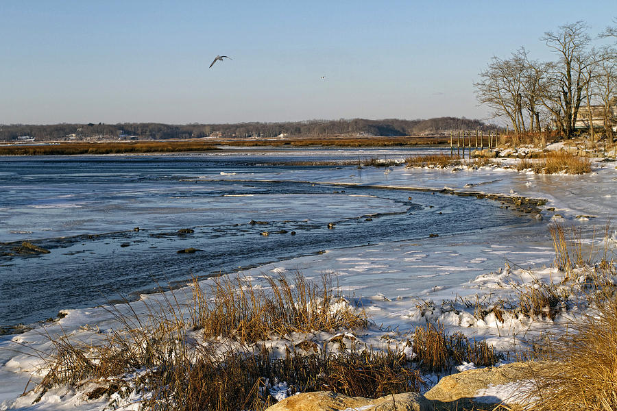 Frozen River Photograph by J Charles - Fine Art America