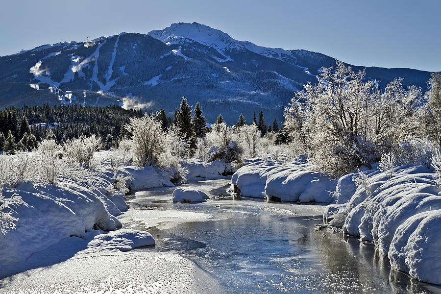 River Of Golden Dreams In Winter Photograph