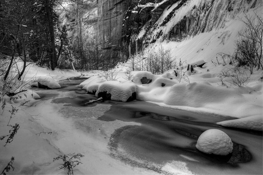 Frozen Splendor Photograph by Sue Cullumber