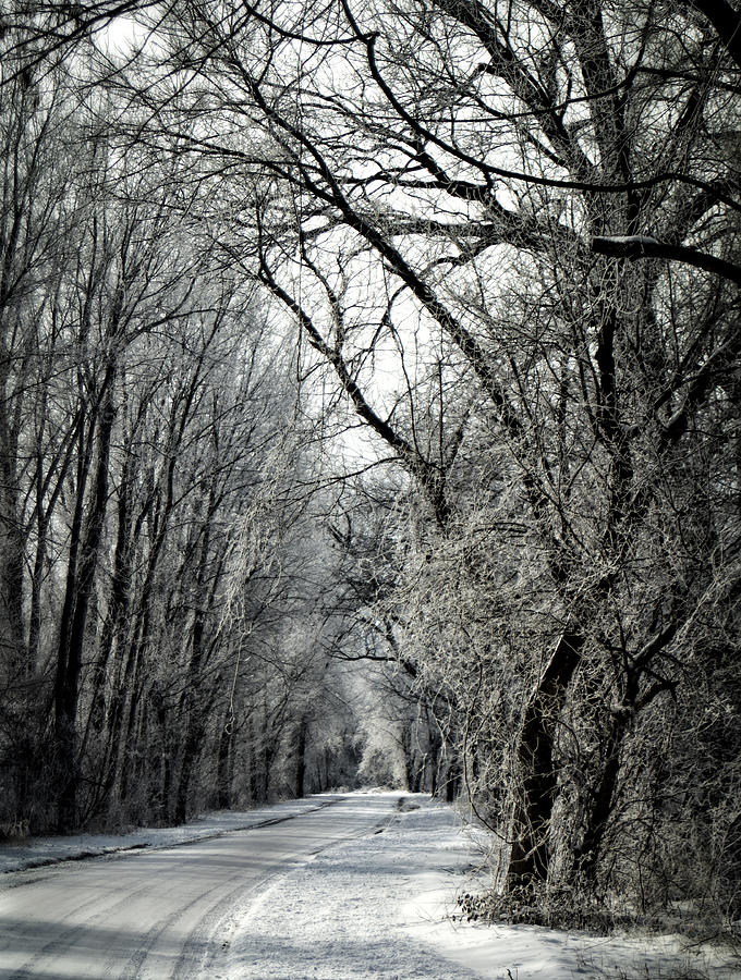 Winter Photograph - Frozen Road by Wayne Meyer