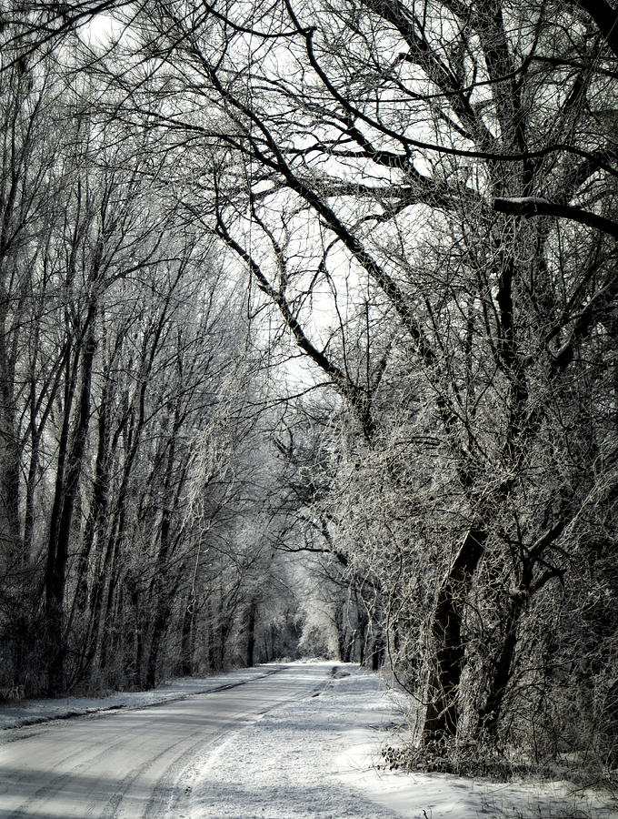 Frozen Road Photograph by Wayne Meyer - Fine Art America