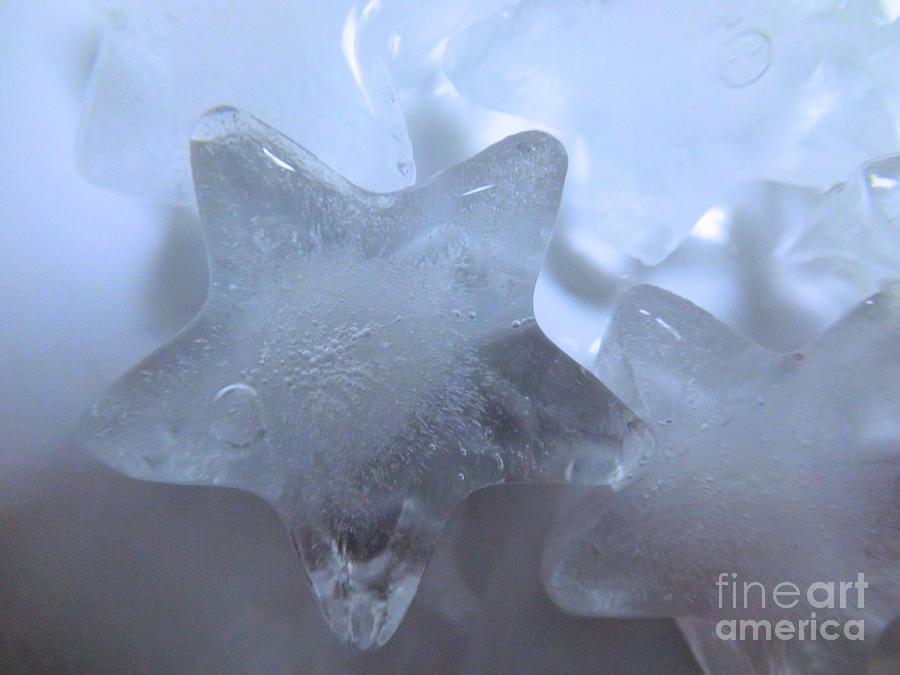 Frozen Photograph by Robyn King