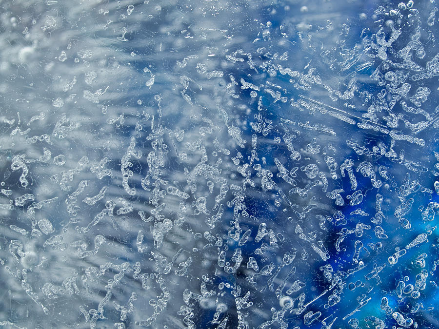 Abstract Photograph - Frozen by Shannon Workman