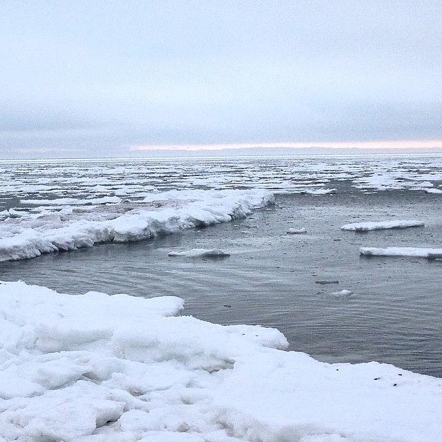 Nature Seekers Photograph - Frozen Sound #all_my_own #bns_seabeach by Amy Coomber Eberhardt