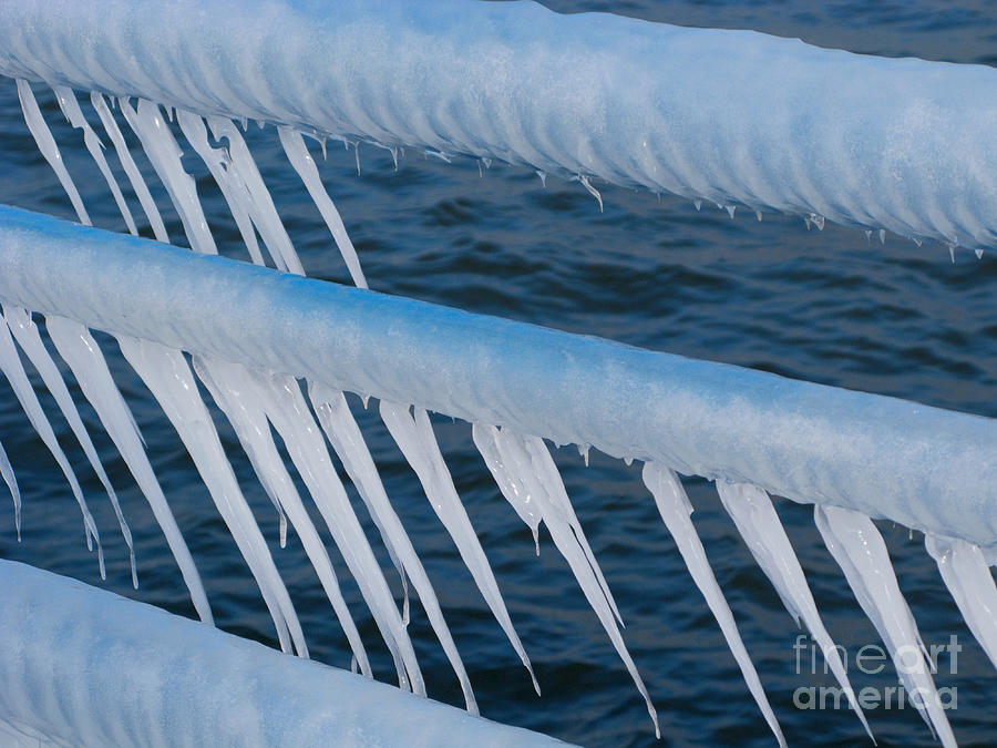 Winter Photograph - Frozen Stiff by Ann Horn