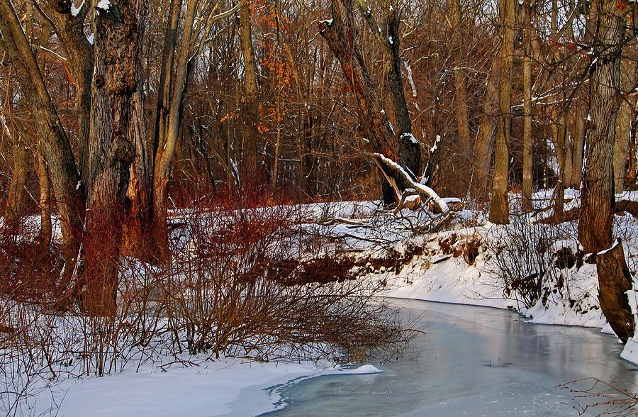 Frozen Stream Lancaster MA Photograph by Michael Saunders