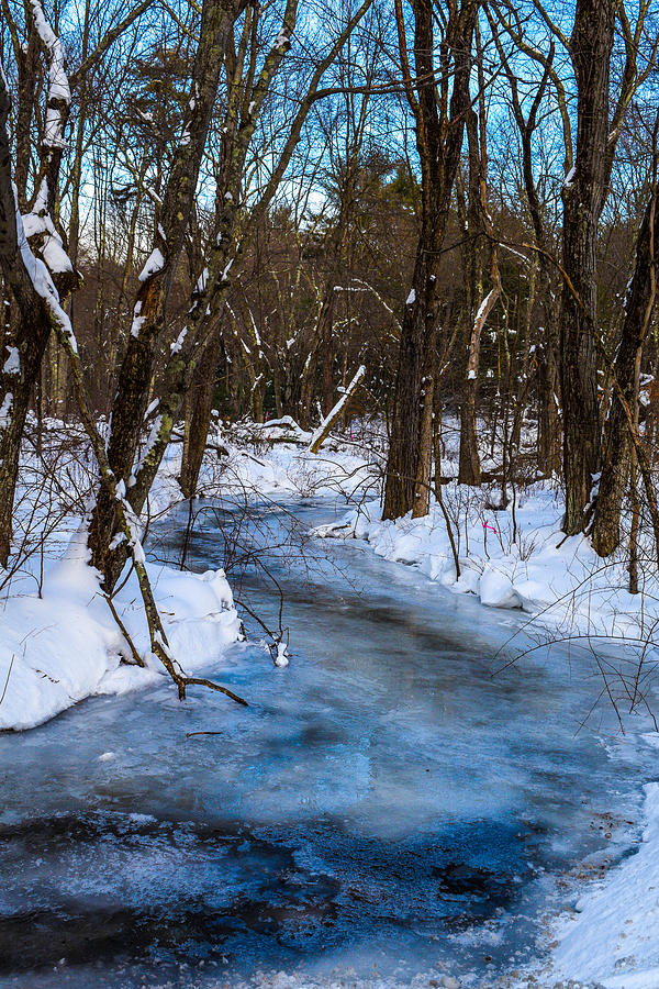 Frozen Stream Photograph by Libby Lord | Fine Art America