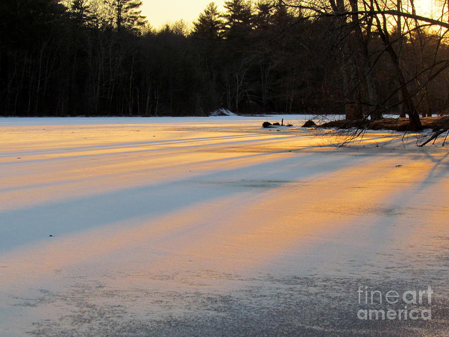 Frozen Sunset Photograph by Lili Feinstein