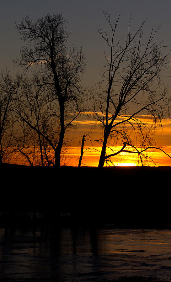 Frozen Sunset Photograph By Wayne Vedvig - Fine Art America