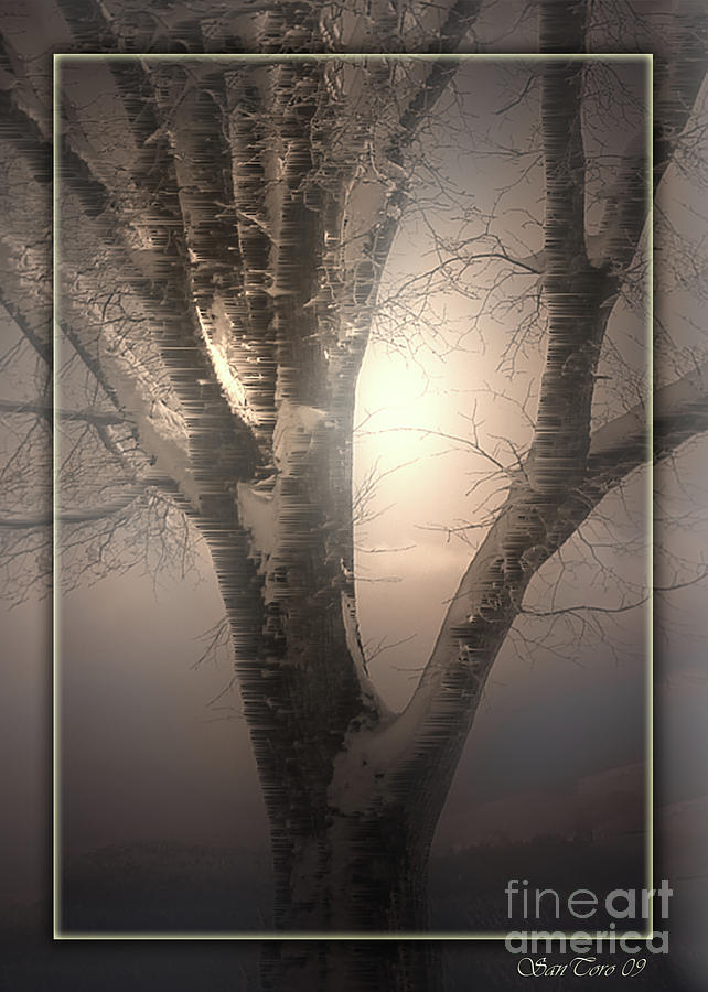 Winter Digital Art - Frozen Tree by Bruno Santoro