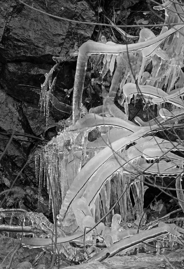 Frozen V in Black and White Photograph by Suzanne Gaff